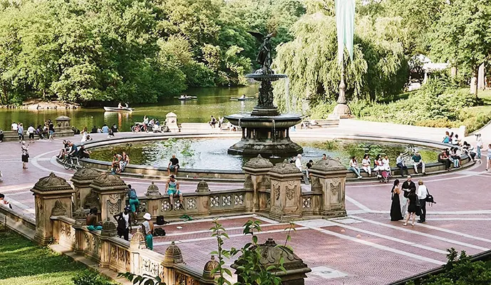 Combo: Metropolitan Museum of Art + Central Park Tour - Image 6