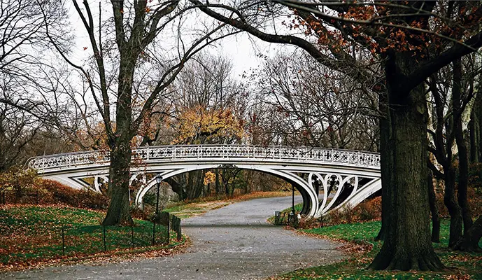 Combo: Metropolitan Museum of Art + Central Park Tour - Image 9