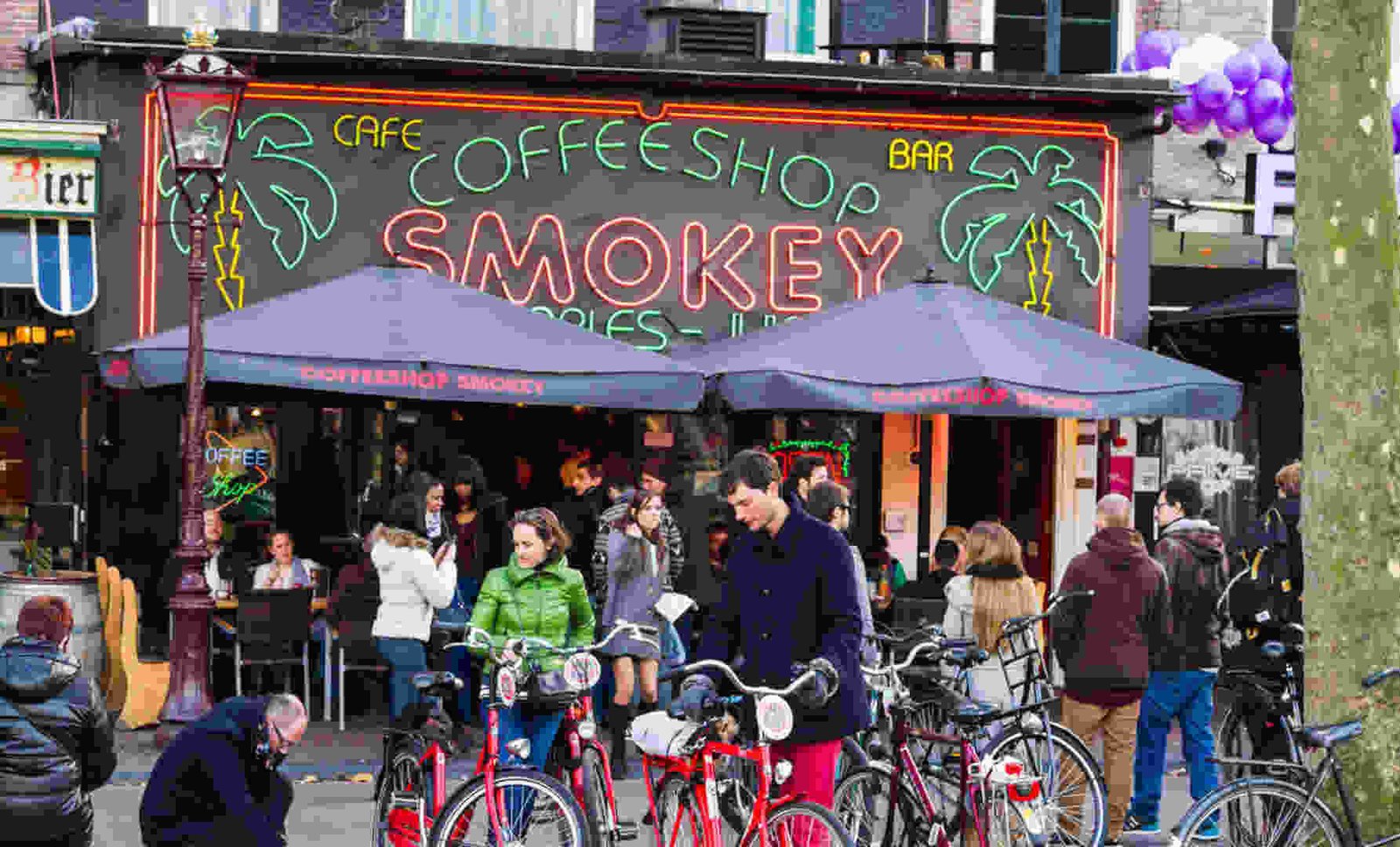 What Not to Do When Visiting Amsterdam Coffee Shops