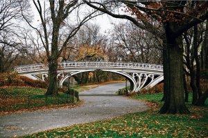 Explore Central Park: Activities, Attractions & Hidden Gems