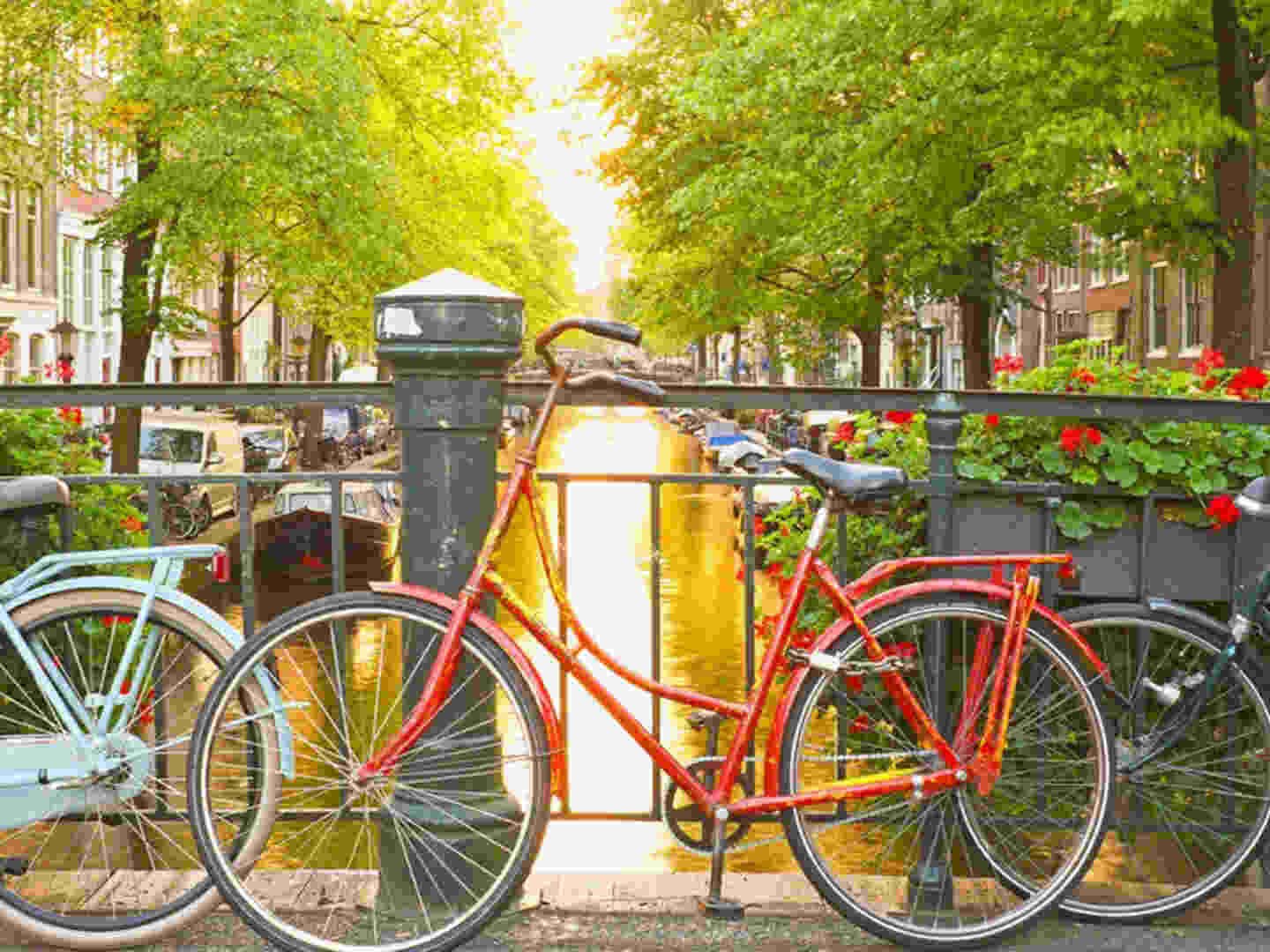 Amsterdam Beauty