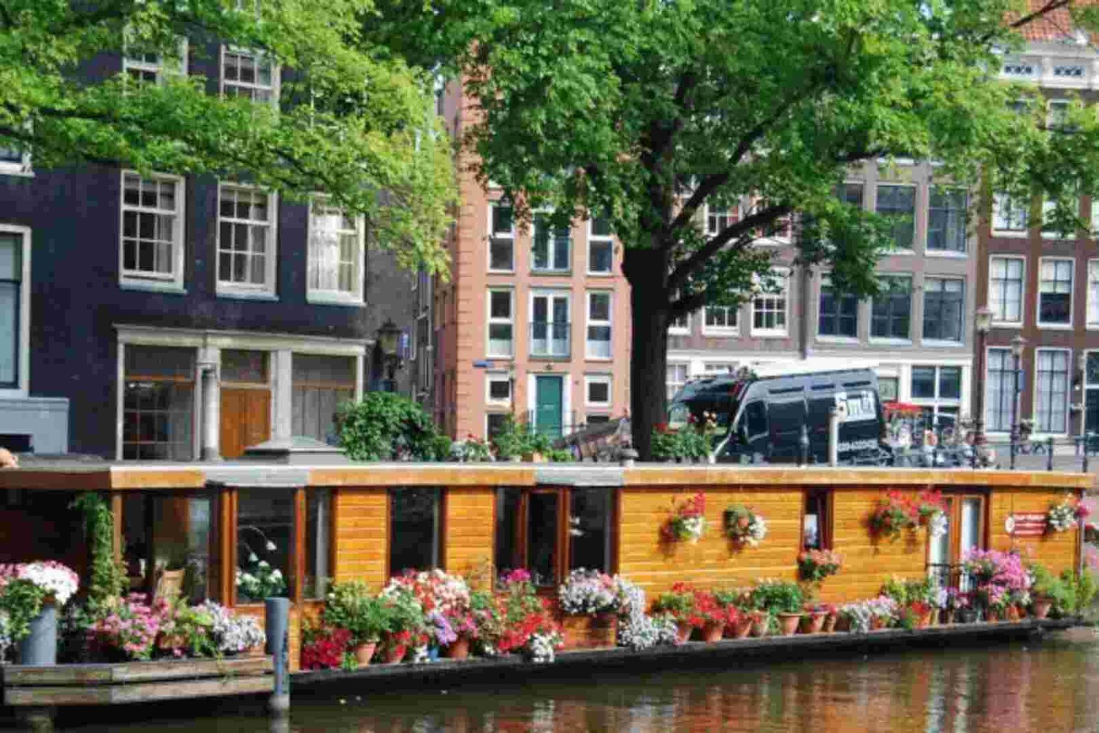 Find the Trend in Amsterdam