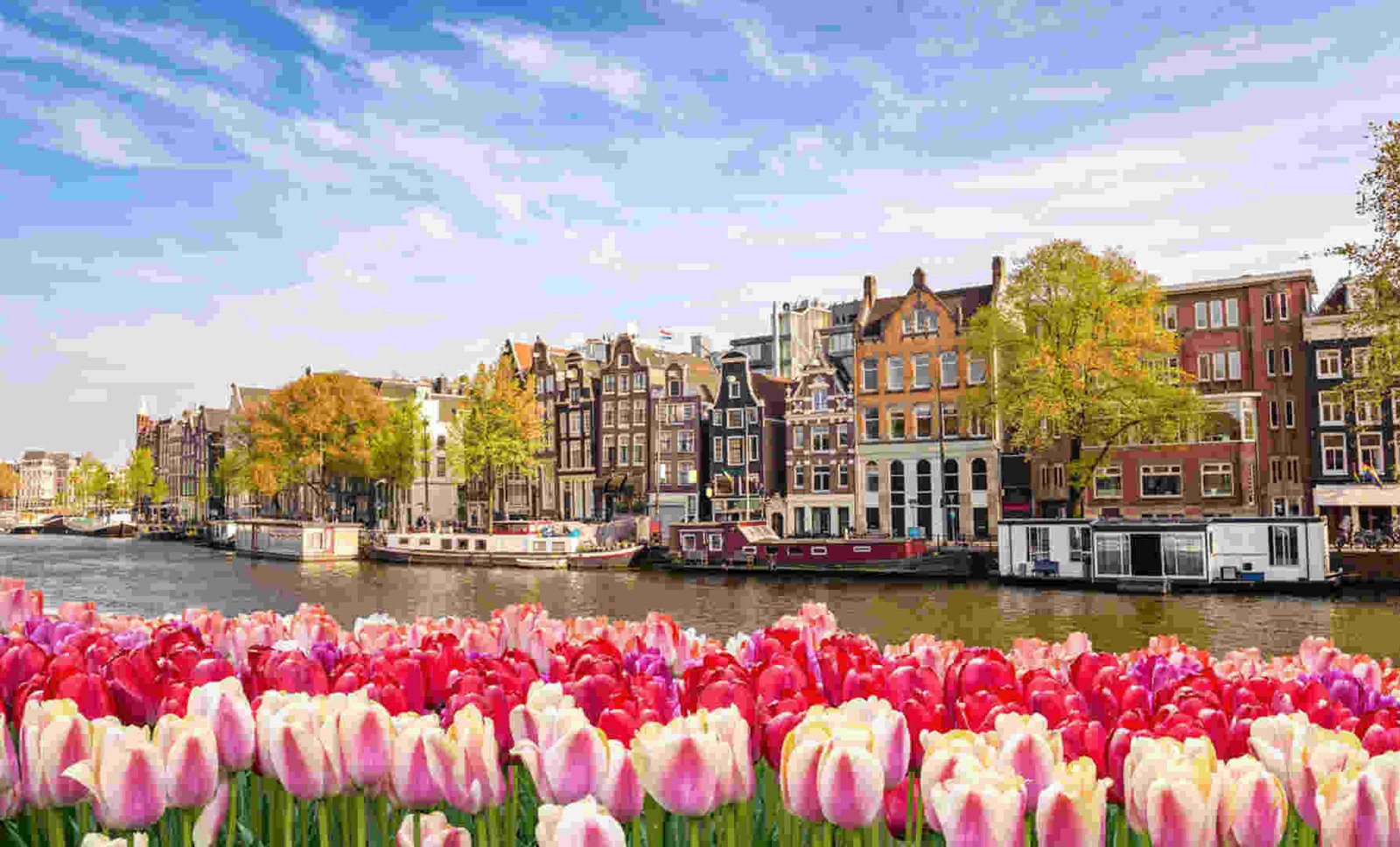 Top 5 Museums to Visit During Your Amsterdam Private Tour