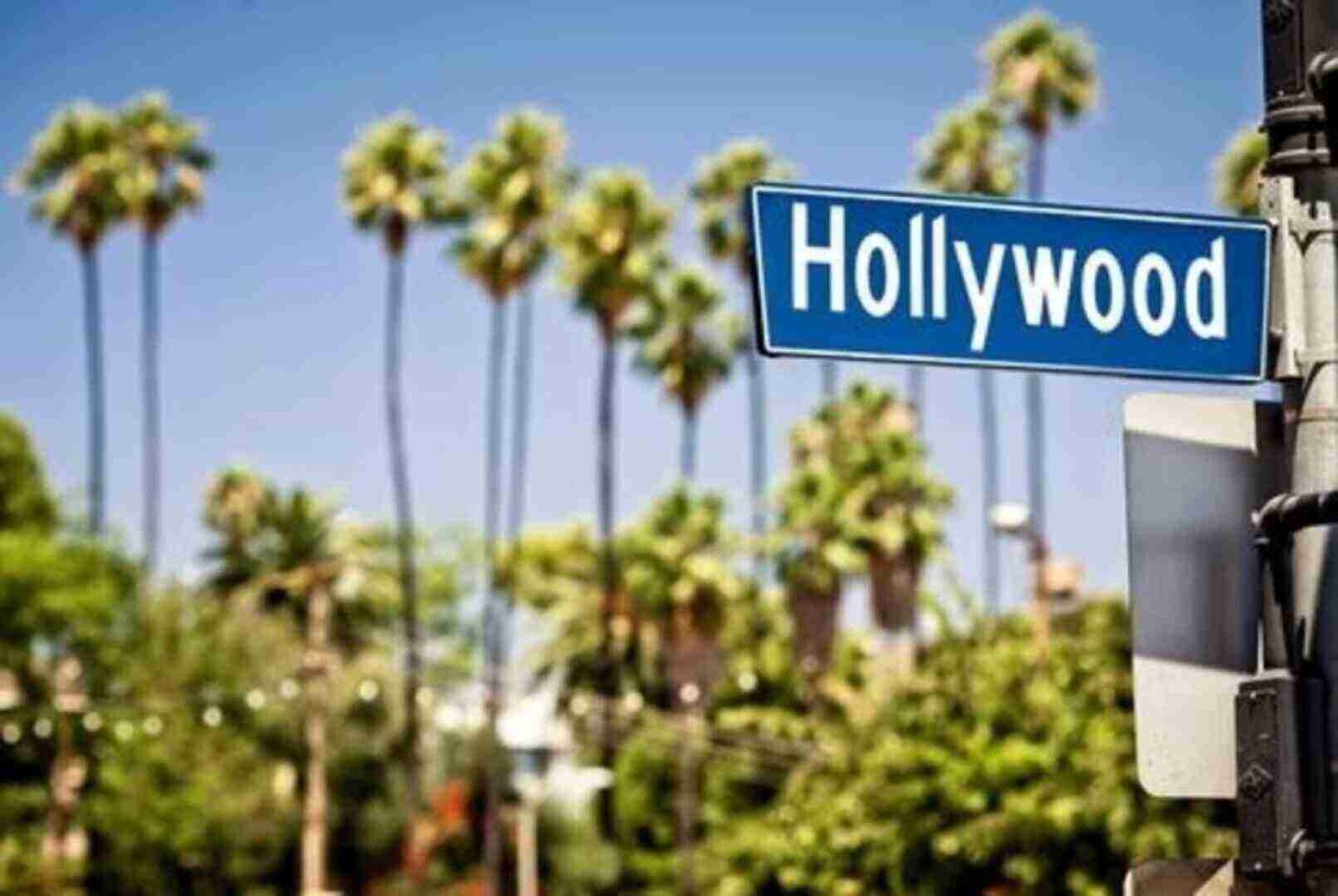 The Best Staying Options in Los Angeles for Sightseeing