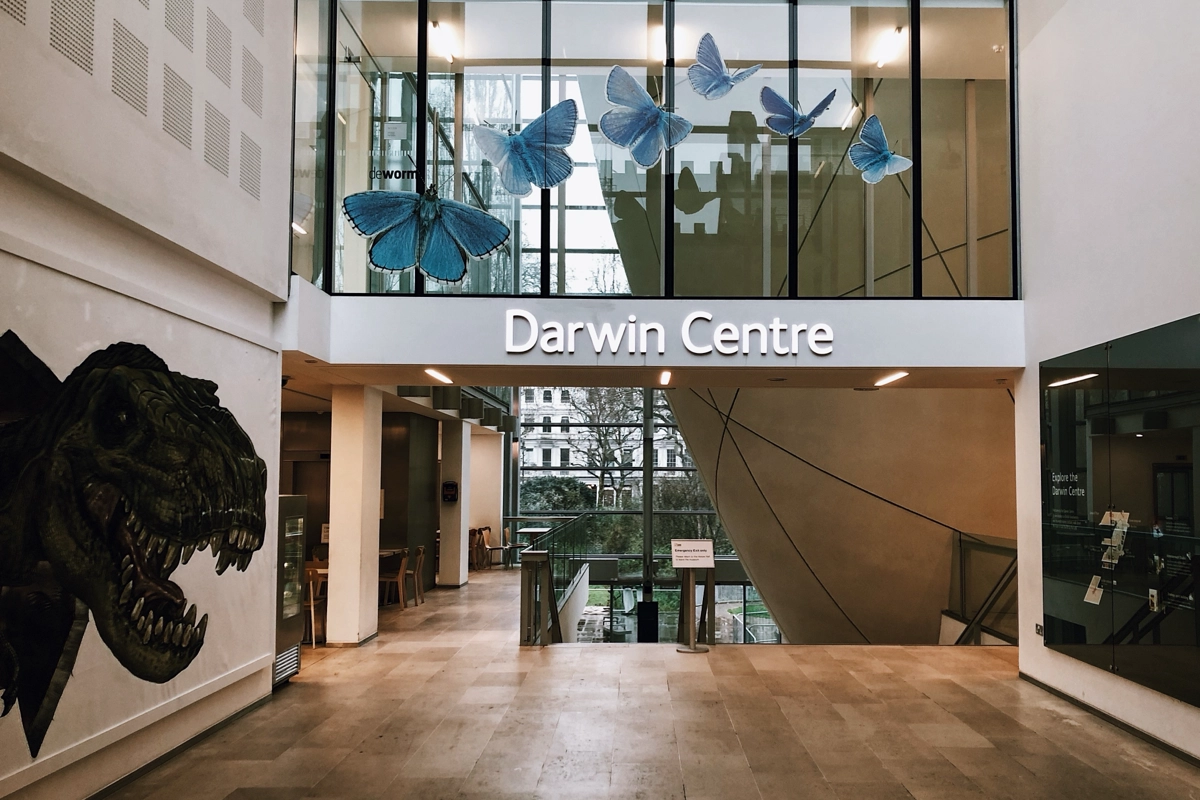 Entrance to the Darwin Centre at the Natural History Museum in London, featuring blue butterfly window displays and a T. rex mural.