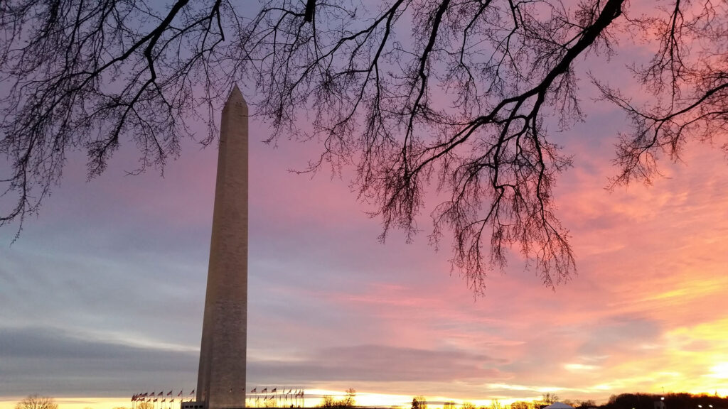 The image shows the Washington Monument at sunset, with a colorful sky of pink, purple, and orange hues. Bare tree branches frame the scene from above, and flags are visible near the base of the monument.