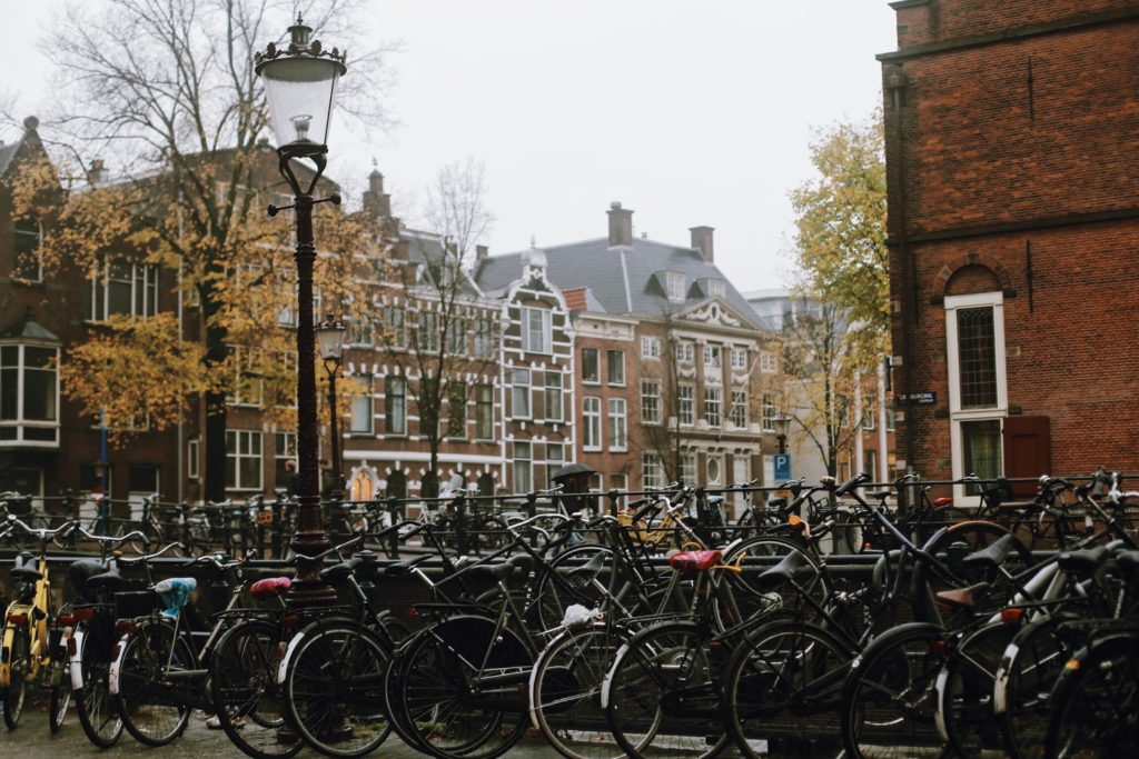 Amsterdam City Tour Guided Tour