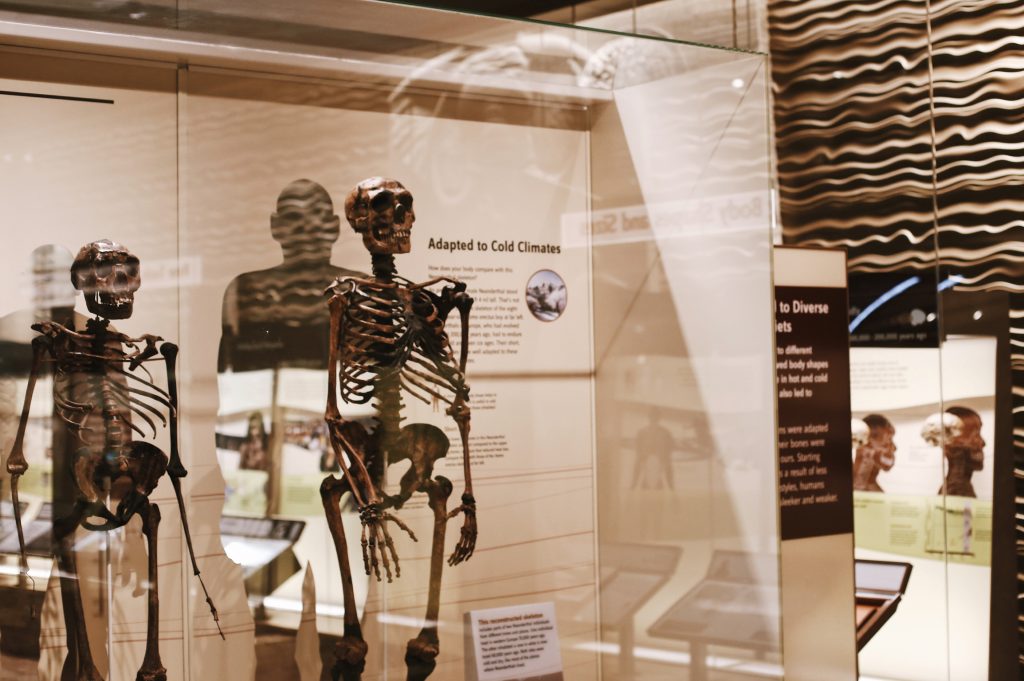 Smithsonian-Tour-DC-Washington-History-Museum-Natural