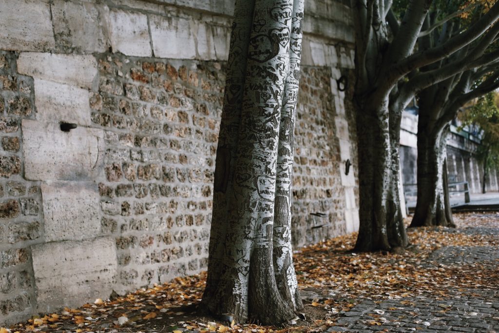 Walking-Tour-Paris-City